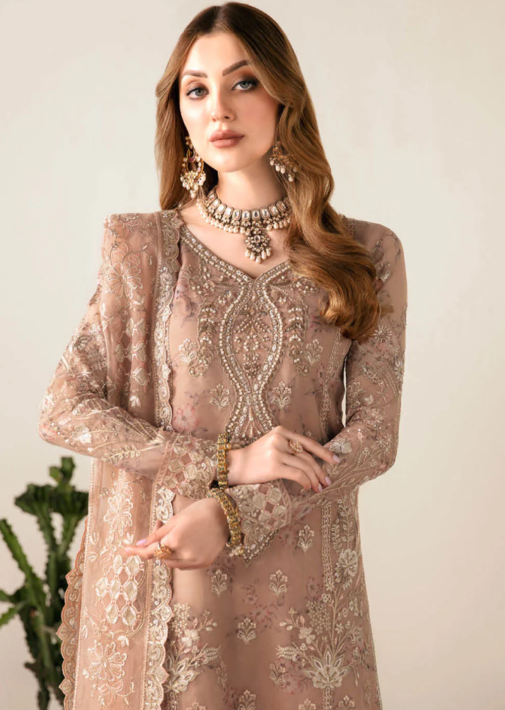 D-104 - Ramsha Festive Collection Vol 01 2024 - Image 3