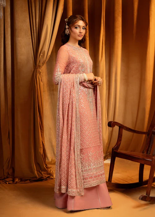 HJN8065-Orla - Meeral Luxe - Readymade Organza Suit - Image 4