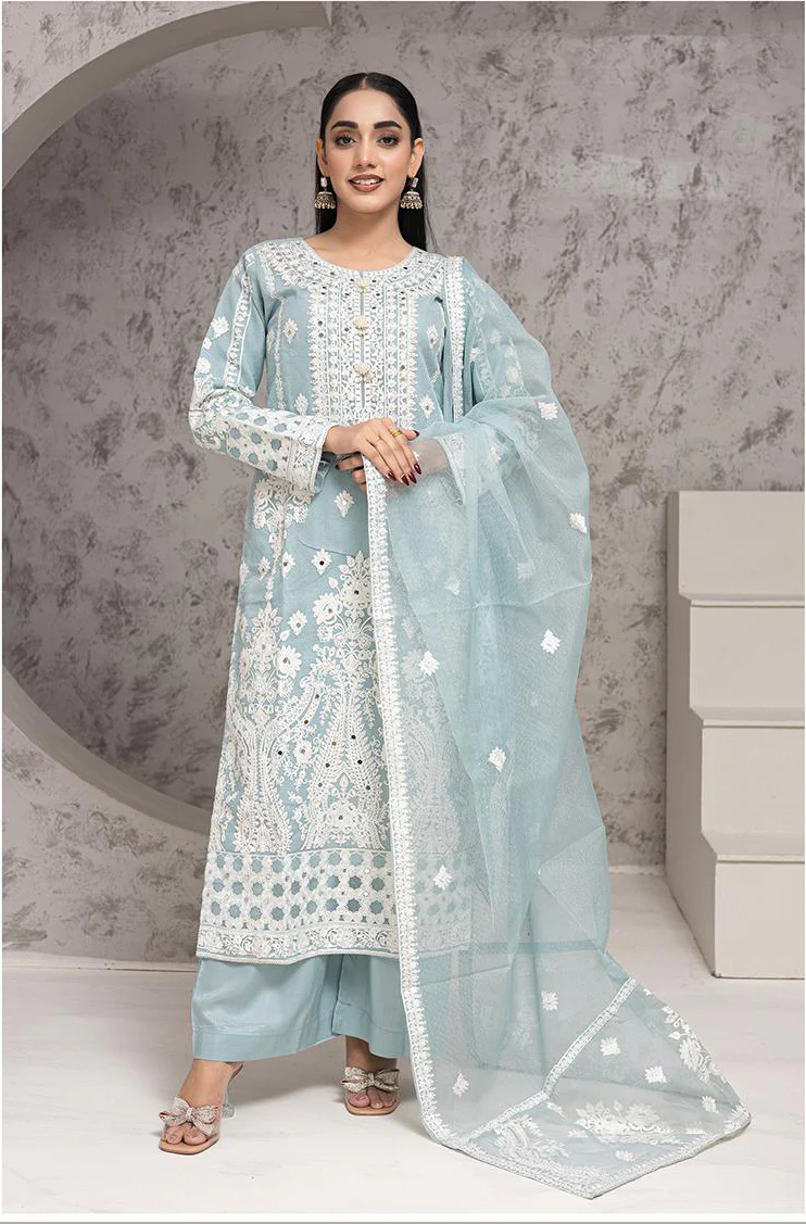 RGZ7103 - Rangz Organza Suit - Image 6
